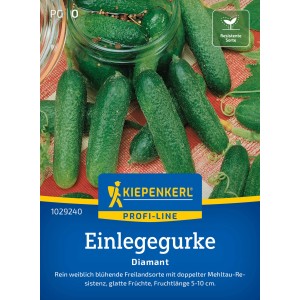Kiepenkerl Gurken (Einlegegurke) Diamant F1