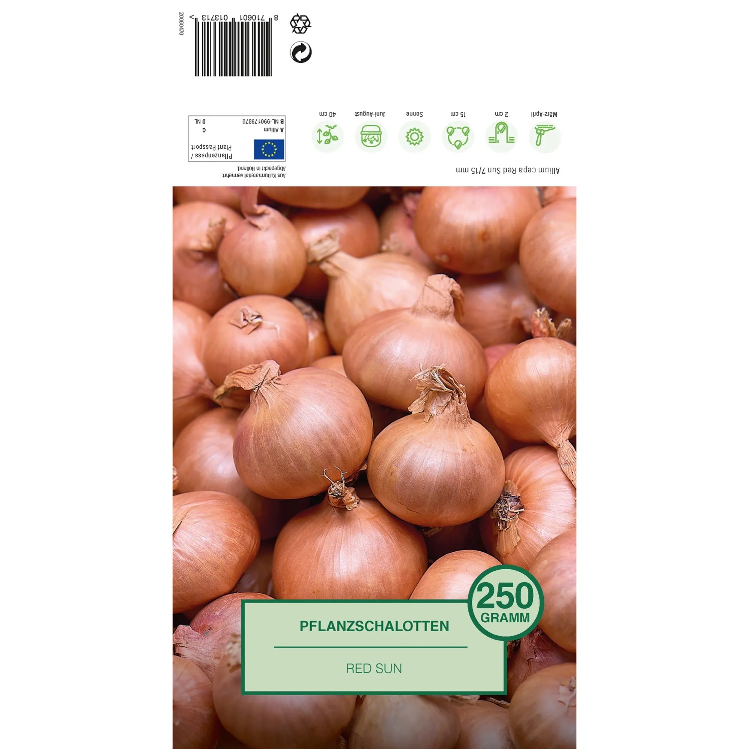 Pflanzschalotten Red Sun, 250g, ideal zum Anpflanzen im Garten.