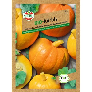 Samenpackung Sperli Bio-Kürbis Amoro, Hokkaido-Kürbis für Garten und Hochbeet.