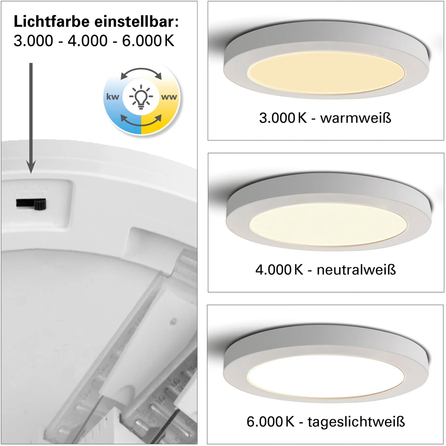 Näve LED-Deckenleuchte Bonus, 22,5 cm, mit einstellbarer Lichtfarbe (warmweiß, neutralweiß, kaltweiß).