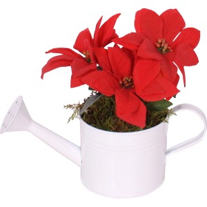 Weihnachtsstern Rot Topf-Ø ca. 13 cm im Keramikgefäß Euphorbia pulcherrima