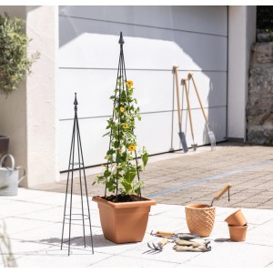 Windhager Rankturm Obelisk, 120 cm hoch, anthrazit, mit Kletterpflanze im Topf. Rankhilfe für Garten und Beet.