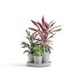 Ecopots Pflanztopf Dubai Weißgrau 56 cm x 30 cm_2