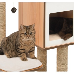 Vesper Kratzbaum High Base in Walnuss mit zwei Katzen, Liegeflächen und Kratzstämmen.