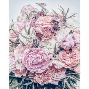 Komar Vliesfototapete Zestful: Nahaufnahme von rosa und weißen Blumen.