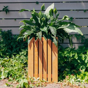 Quadratischer, lackierter Pflanzkasten aus Naturholz, 34x34x32 cm, mit grüner Pflanze.