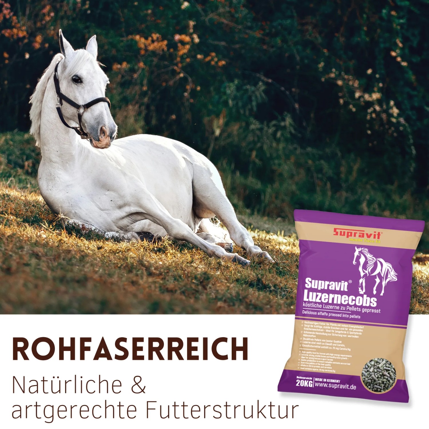 Weißes Pferd liegt auf Wiese. Lila Beutel Supravit Luzernecobs Pferdefutter 20 kg, rohfaserreich.