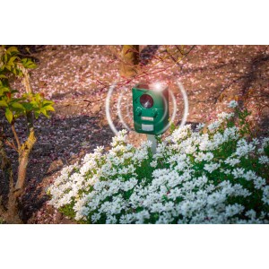 Gardigo Solar Tiervertreiber im Garten mit Ultraschall-Wellen und Blitzlicht zwischen Blumen.