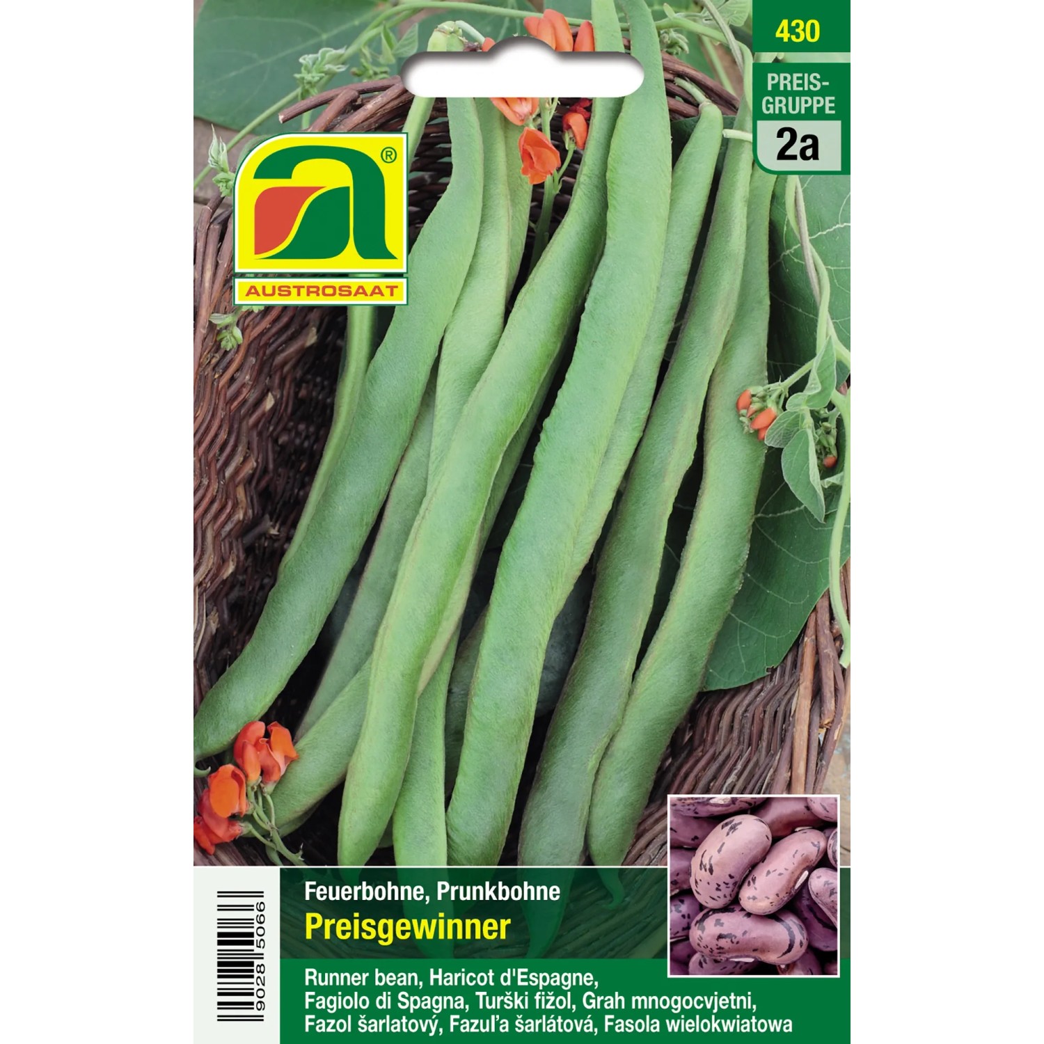 Austrosaat Saatgut Prunkbohnen "Preisgewinner" Phaesolus vulgaris L. kaufen  bei OBI