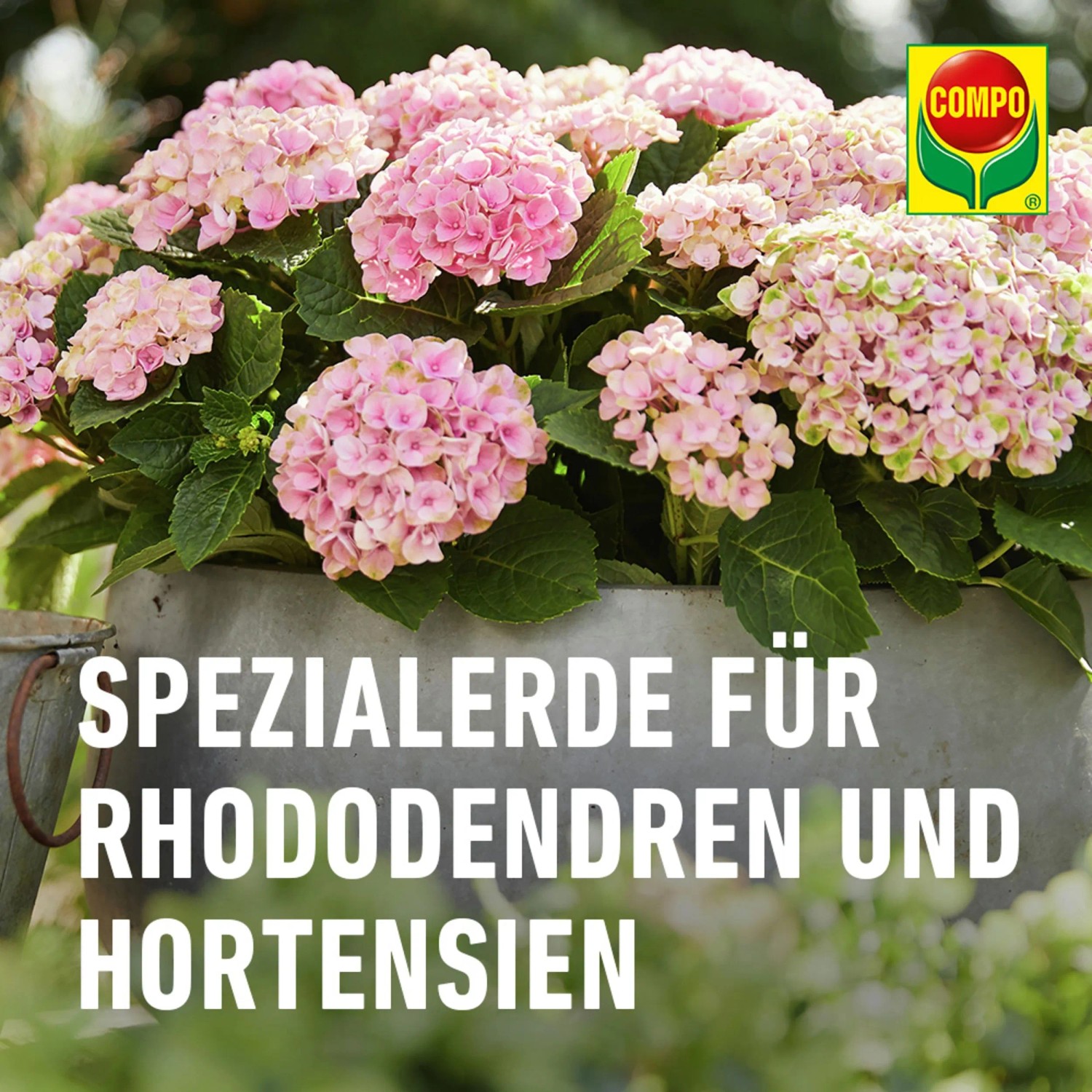 Compo Sana Rhododendronerde 1 x 20 l kaufen bei OBI