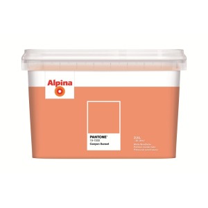 Alpina Innenfarbe Pantone Canyon Sunset 2,5 l. Matter, orange-roter Farbeimer mit Alpina Logo.