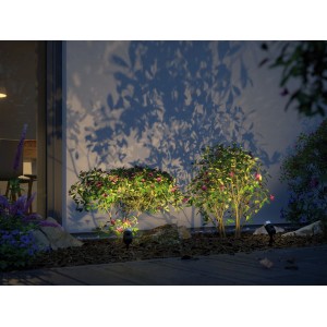 Paulmann Plug & Shine Pike RGBW Gartenstrahler in Anthrazit beleuchten Pflanzen im Garten.