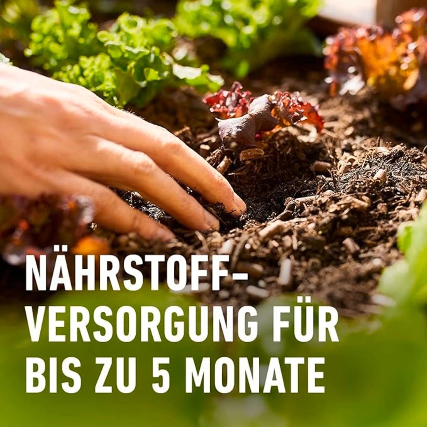 ist aloe vera gut fürs gesicht Aloe Vera Spray | JUNGLÜCK main image 1
