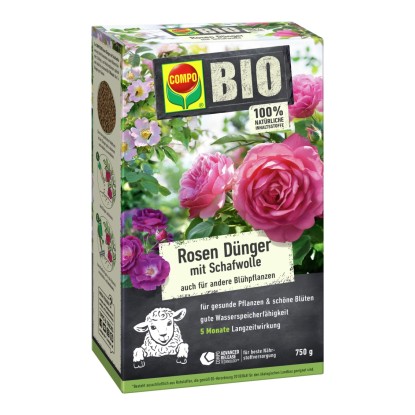 Rosen im Topf: Bltenpracht fr Balkon & Terrasse | OBI