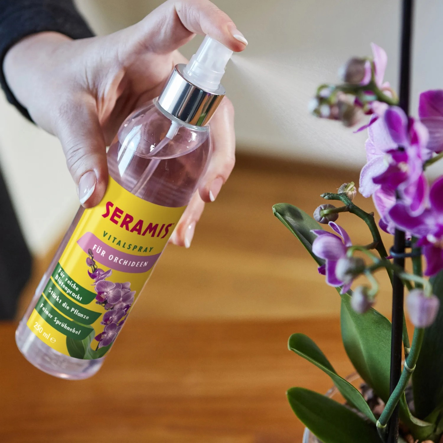 Seramis Vitalspray-/Blattpflege fr Orchideen 250 ml kaufen bei OBI
