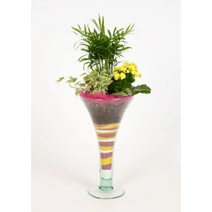 Pflanzen-Arrangement in Trompetenvase mit Kalanchoe, Bergpalme und Efeu. Elegante Tischdeko.