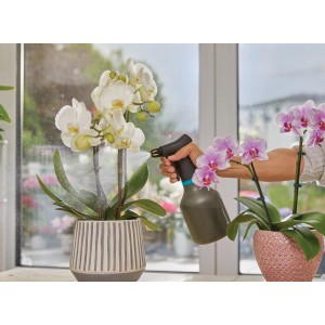 Gardena Pumpsprüher 0,75 l beim Besprühen von Orchideen im Haus.