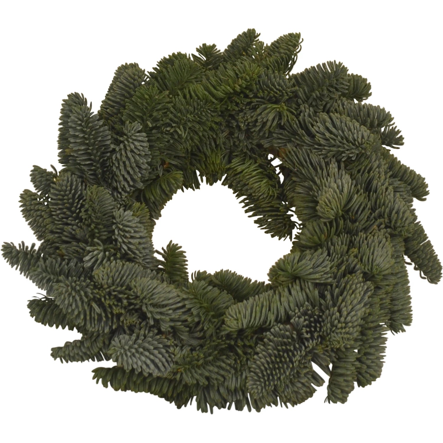 Adventsgesteck Nobilis Römer Teller Ø ca. 25 cm kaufen bei OBI
