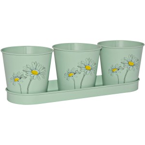 4-teiliges Zink-Eimer-Set in Mintgrün mit Blumenprint für Kräuter.
