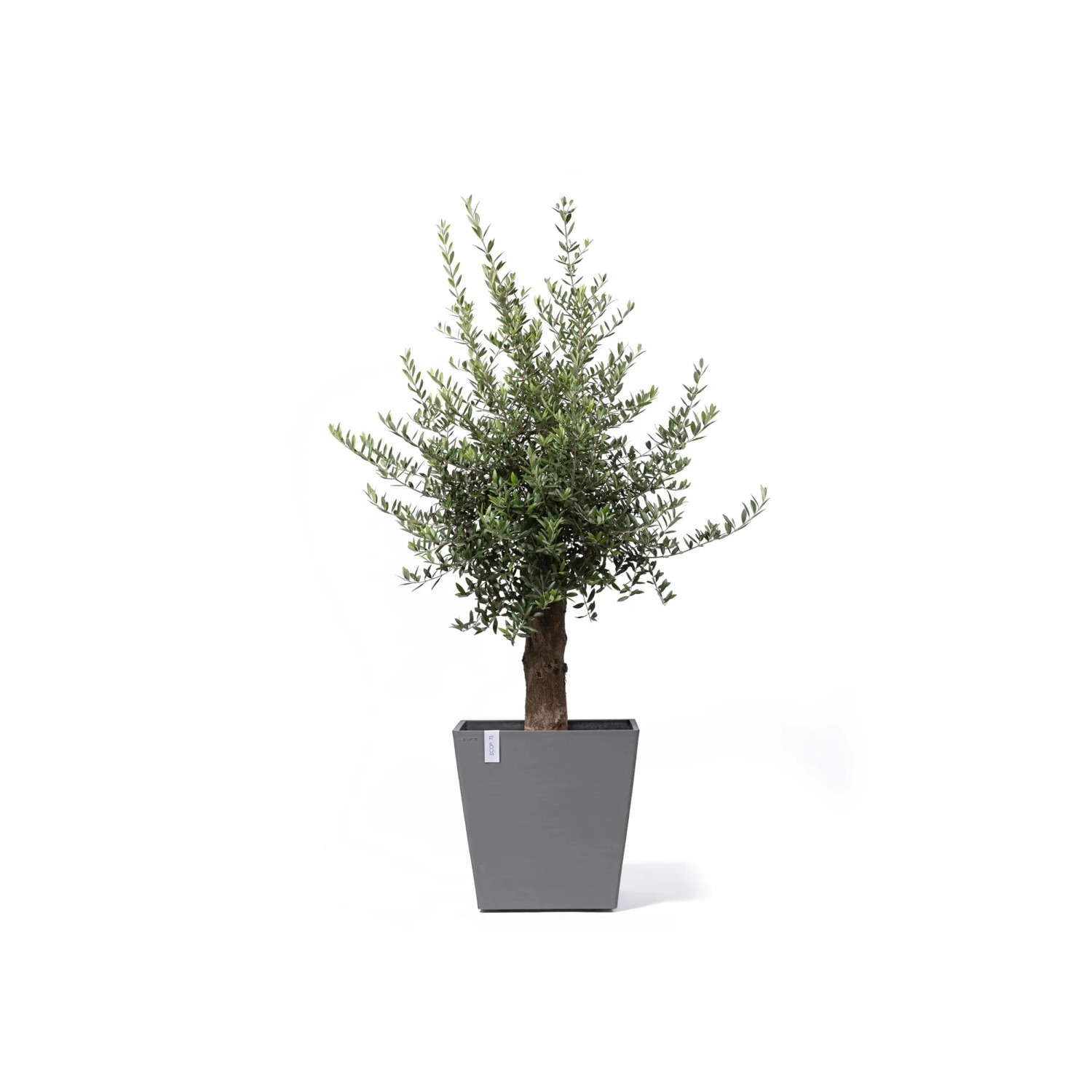 vogelschutz blumenkasten Flexi-Design Blumenkasten mit Sichtschutz winterfest  Potflex