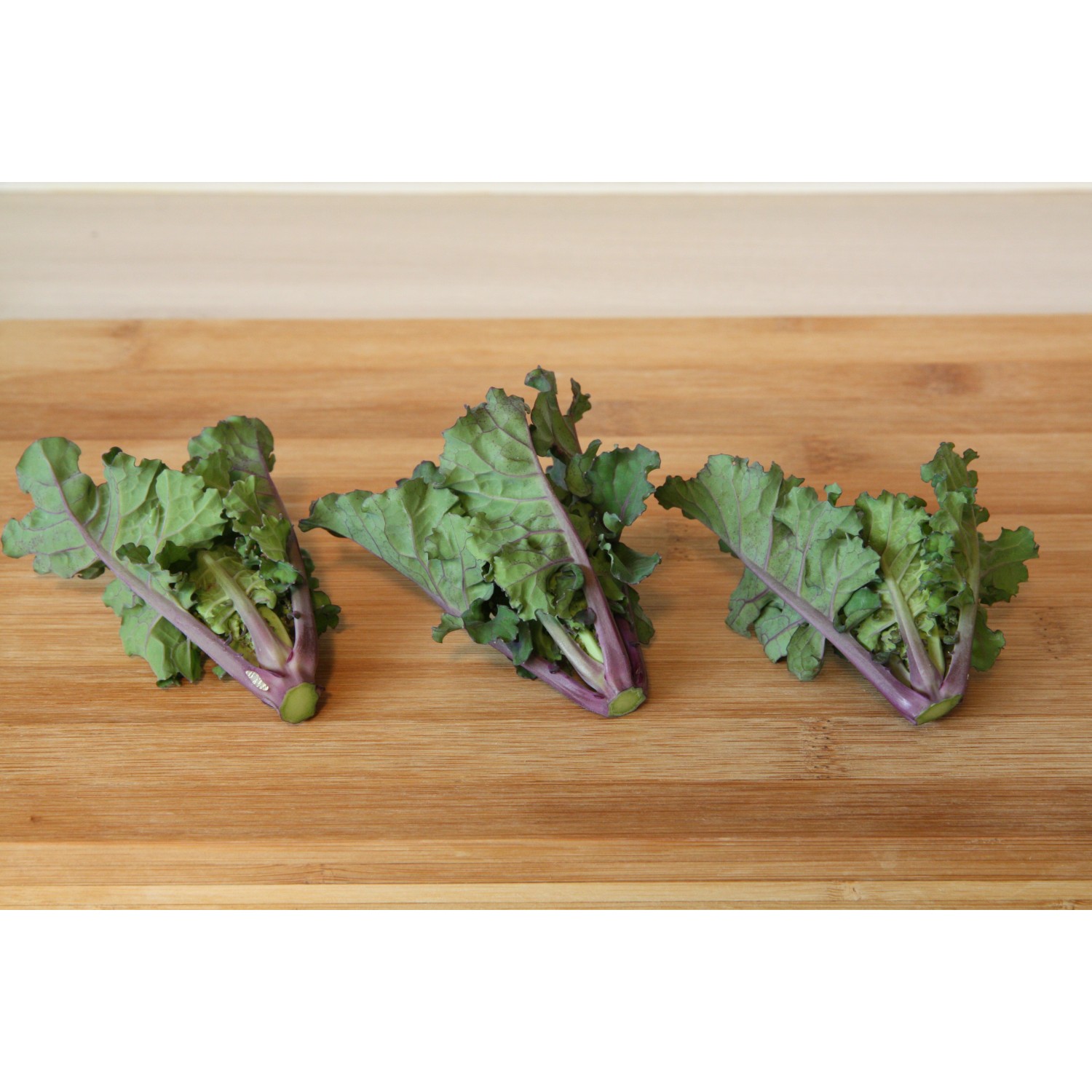 Blu Bio-Rosenkohl &amp;quot;Flower Sprout&amp;quot; Topf-Ø ca. 12 cm Brassica ole. var ...