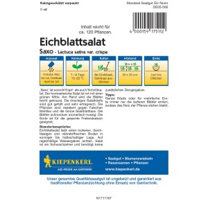 Kiepenkerl Eichblattsalat Saxo Samenpackung, rot-grüner Salat für Freilandanbau.