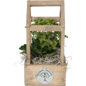 Flammendes Käthchen im Holzhaus, Topf-Ø 14cm, bepflanzte Schale für Innen.