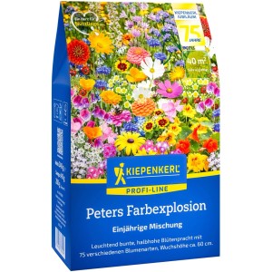 Kiepenkerl Blumensamen 'Peters Farbexplosion': Bunte Blumenmischung für den Sommergarten.