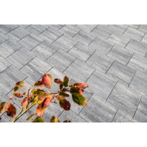 Diephaus Terrassenplatten Corso Graphit, 50x50 cm, verlegt im Außenbereich.