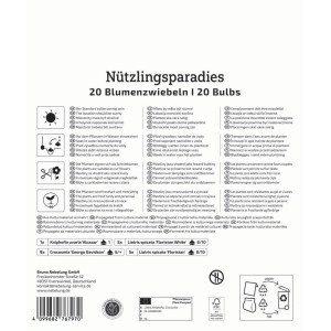 Kiepenkerl Blumenzwiebeln Nützlingsparadies