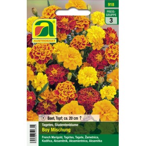 Austrosaat Studentenblume Boy Mischung, mehrfarbig. Blumensamen für Beet und Topf.