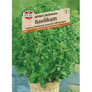 Sperli Basilikum "Sperlis Balkonstar"