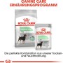 Royal Canin Digestive Care Mini Trockenfutter für Hunde mit empfindlicher Verdauung, 3kg.