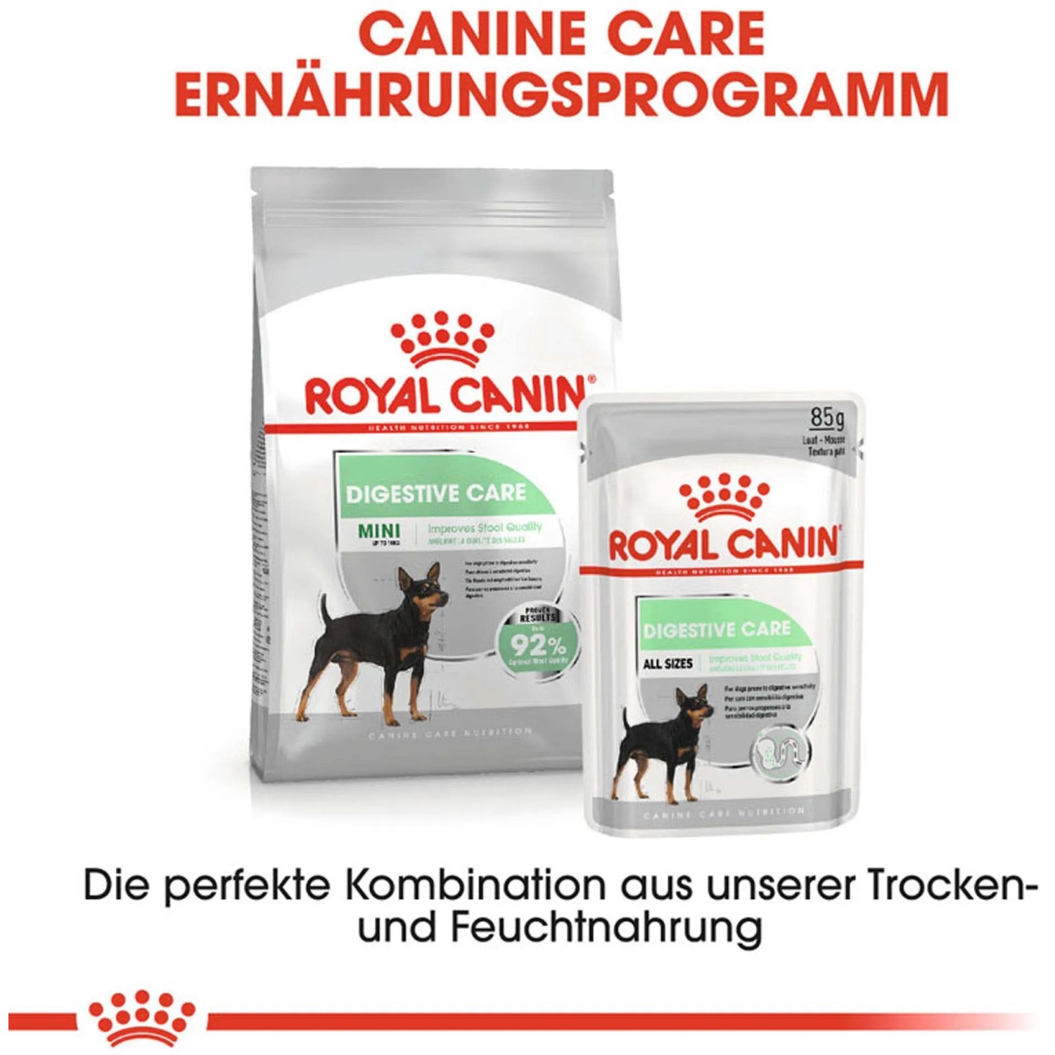 Royal Canin Digestive Care Mini Trockenfutter für Hunde mit empfindlicher Verdauung, 3kg.