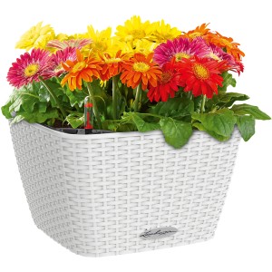 Lechuza Bacino Cottage Pflanzgefäß, weiß, 30x30 cm, mit bunten Gerbera und Bewässerungssystem.