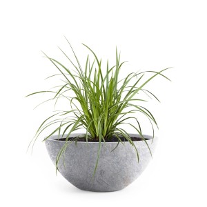 Pflanzwerk Pflanzschale Bowl Premium Frostbeständig Lava 36 cm Hellgrau