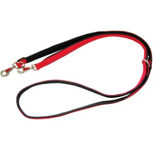 Rote, verstellbare Heim Hundeleine aus Gurtband, 20 mm breit und 200 cm lang.