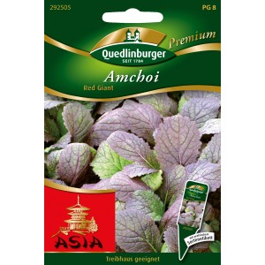 Quedlinburger Amchoi Red Giant Samenpackung mit rotblättrigem Asia-Salat.