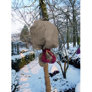 Grauer Jutesack 110x60 cm zum Schutz von Baumkrone und Topf im Wintergarten.