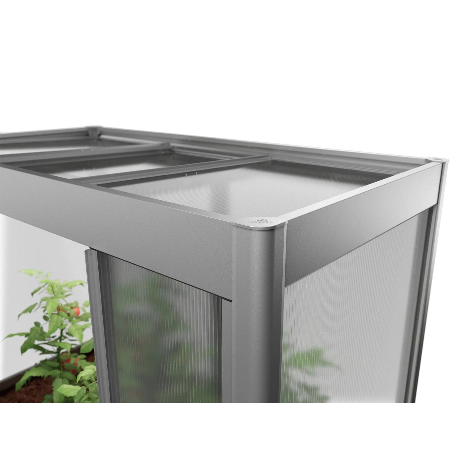 Modernes Biohort Gewächshaus Florentina Mini, Quarzgrau-Metallic. Obere Ecke mit klaren Paneelen und Pflanzen.