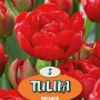 Rote Tulpen "Miranda" als Blumenzwiebeln für den Garten oder Balkon.