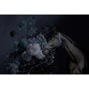 Fototapete Pferd Blumenbouquet Schwarz Blau 4,00 m x 2,70 m FSC®
