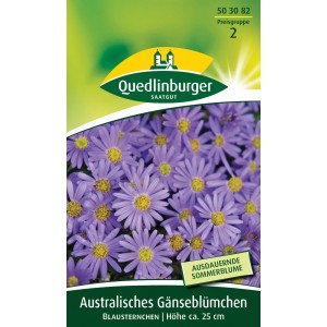 Samenpackung Quedlinburger Australisches Gänseblümchen Blau mit blauen Blüten.