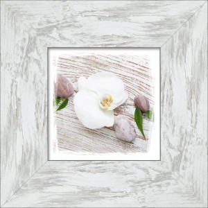 Bild mit Rahmen White Spring IV 34 cm x 34 cm