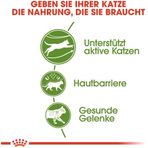Grafik: Royal Canin Outdoor Katzenfutter – Unterstützung für aktive Katzen, Hautbarriere und gesunde Gelenke.