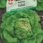 Sperli Salat May King: Kopf Salat, gelblich-grün, für Frühjahr- und Herbsternte.