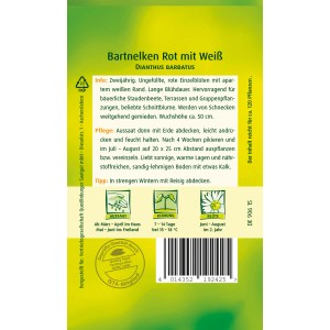 Samentüte Quedlinburger Bartnelke 'Rot mit Weiß'.