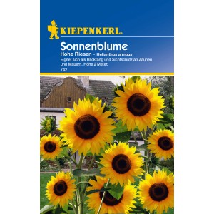 Kiepenkerl Sonnenblume Hohe Riesen Gelb, Helianthus annuus, auf der Verpackung.