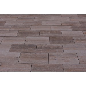 Verlegte Terrassenplatten Modern Muschelkalk 50x25 cm, Betonplatten für Gehwege und Terrassen.