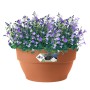 Elho Blumentopfschale Vibia Campana, Ø 34cm, Terrakotta, mit lila blühenden Pflanzen.